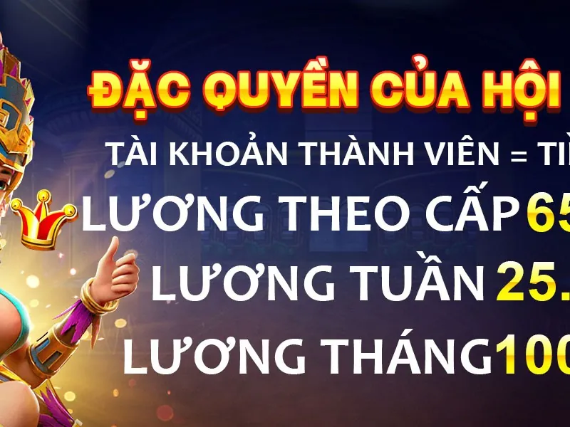 Biểu ngữ khuyến mãi độc quyền VIP