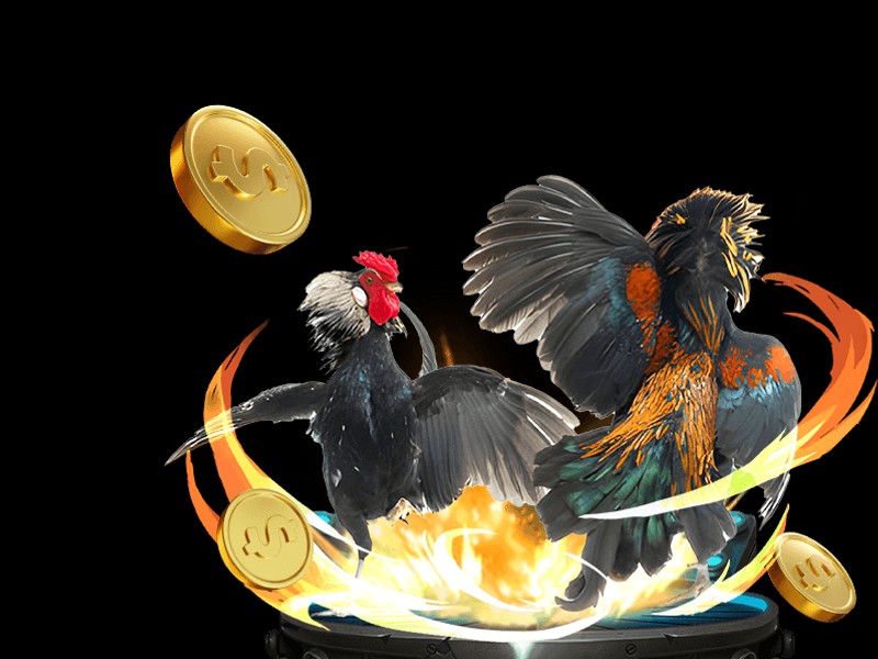 Giải đấu và sự kiện đặc biệt WW88